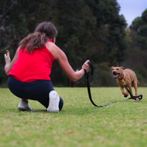Dog running to woman on long leash while training it to come back when called