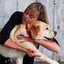 Dr Susan L Shaw, Certified Animal Chiropractor from Barrie, Ontario, Canada manipulating a dog