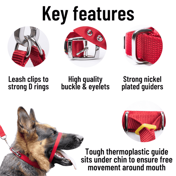 Key features of the Canny Collar dog head collar. Leash clips to strong D rings. High quality buckle and eyelets. Strong nickel plated guiders ensure free movement. Tough thermoplastic guide sits under chin to ensure free movement around mouth.