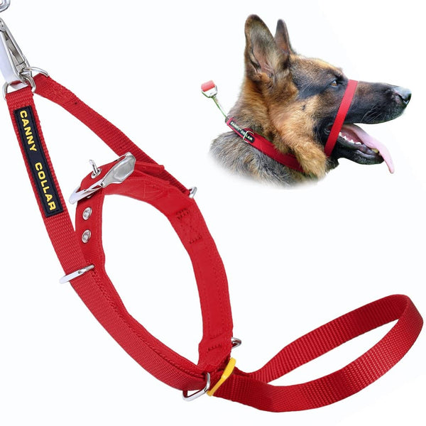 German Shepherd dog with mouth open wearing red Canny Collar head collar